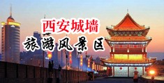 黄色网站白丝日本中国陕西-西安城墙旅游风景区
